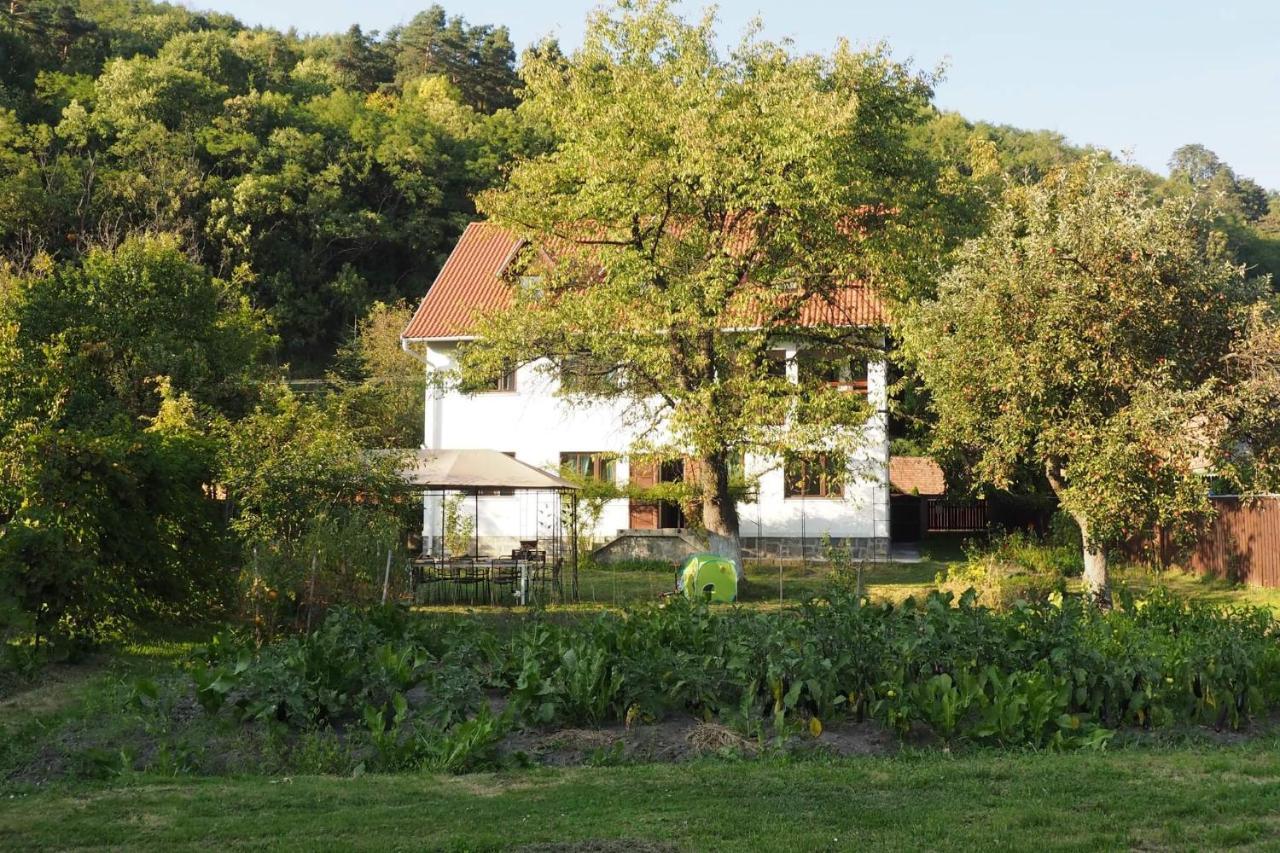 Casa Bucataria Fonix Hotell Praid Eksteriør bilde