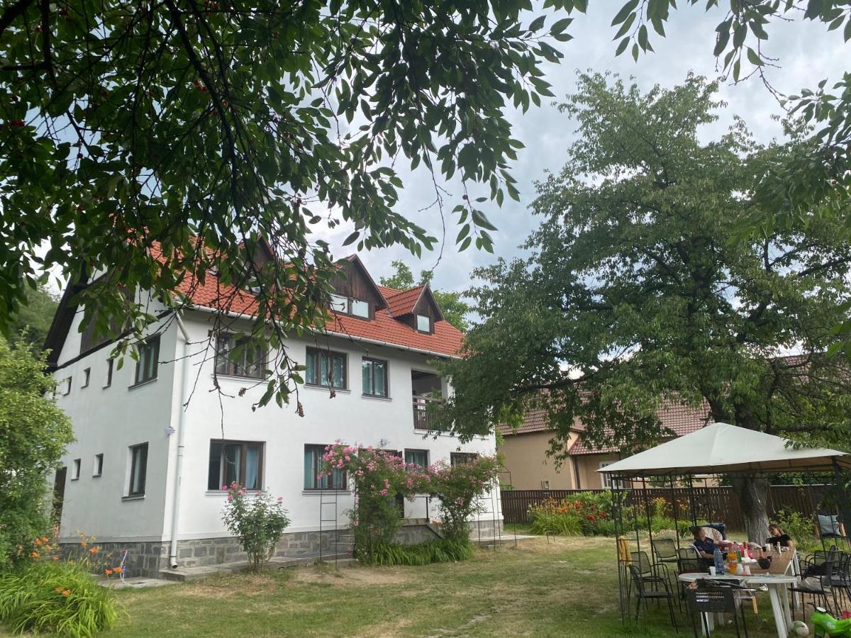 Casa Bucataria Fonix Hotell Praid Eksteriør bilde